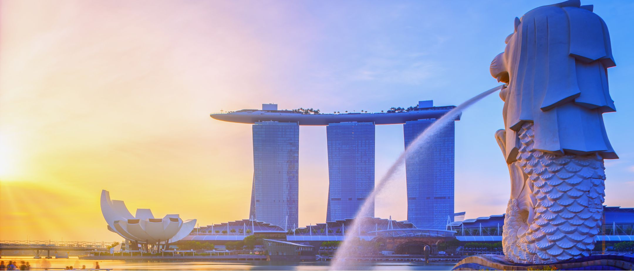 banner-image-Health Sciences